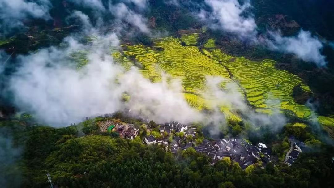 廬山、鄱陽湖石鐘山、景德鎮(zhèn)、婺源篁嶺三日游